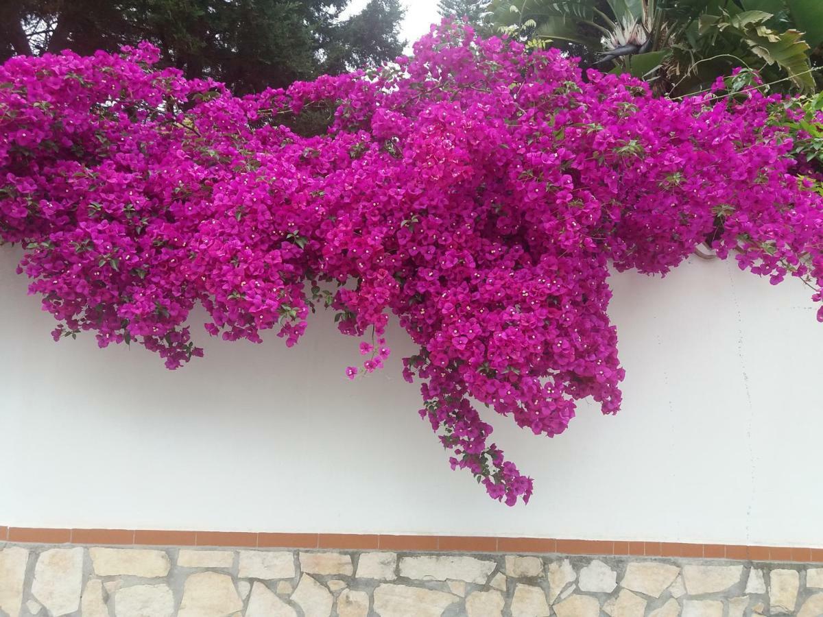 La Casa Del Nonno Bed and Breakfast Milazzo Exterior foto
